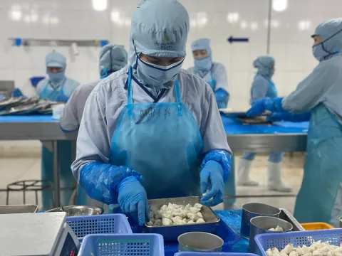 Logistics chuẩn Halal đưa hàng Việt vào thị trường tỷ USD