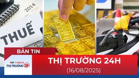 Bản tin Thị trường 24h ngày 16/8
