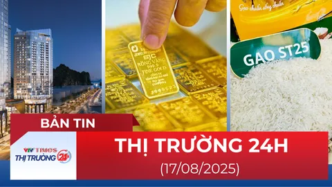 Bản tin Thị trường 24h ngày 17/8