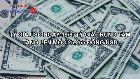 Tỷ giá USD ngày 19/8: Tỷ giá trung tâm tăng lên mốc 25.255 đồng/USD