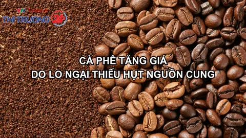 Cà phê tăng giá do lo ngại thiếu hụt nguồn cung