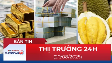 Bản tin Thị trường 24h ngày 20/8