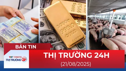 Bản tin Thị trường 24h ngày 21/8