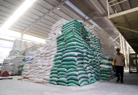 Giá gạo Việt Nam tiếp đà tăng mạnh, vươn lên mức đắt đỏ nhất thế giới