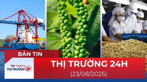 Bản tin Thị trường 24h ngày 23/8