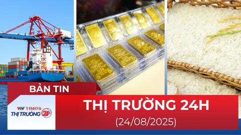 Bản tin Thị trường 24h ngày 24/8