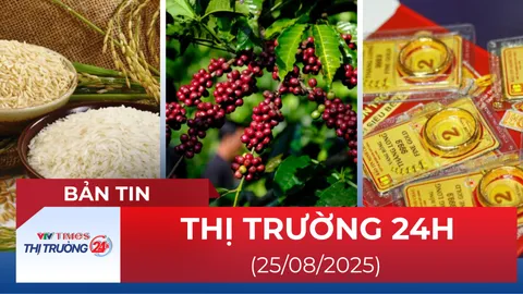 Bản tin Thị trường 24h ngày 25/8