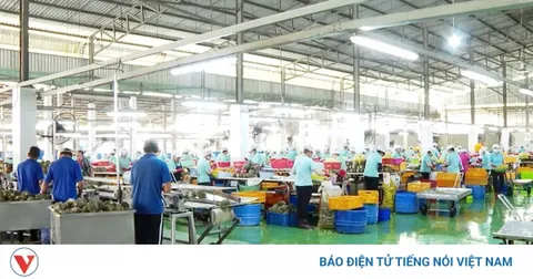 Nghị quyết 68-NQ/TW: "Cú hích" cải cách thể chế, tiếp sức doanh nghiệp nhỏ bứt phá