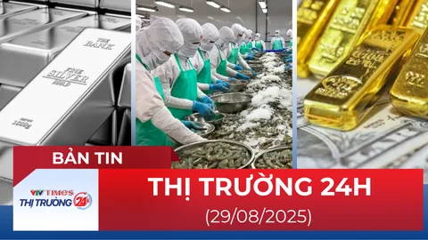 Bản tin Thị trường 24h ngày 29/8