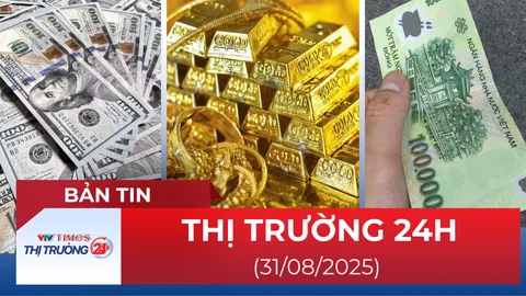 Bản tin Thị trường 24h ngày 31/8