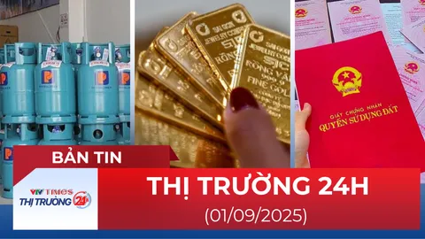 Bản tin Thị trường 24h ngày 1/9