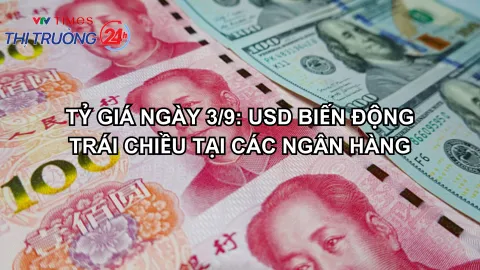 Tỷ giá ngày 3/9: USD biến động trái chiều tại các ngân hàng