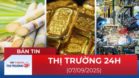 Bản tin Thị trường 24h ngày 7/9