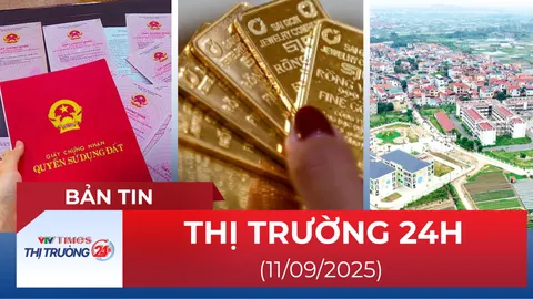 Bản tin Thị trường 24h ngày 11/9