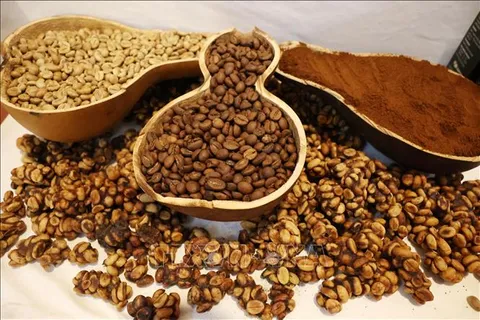 Cà phê Việt chinh phục người tiêu dùng Pháp