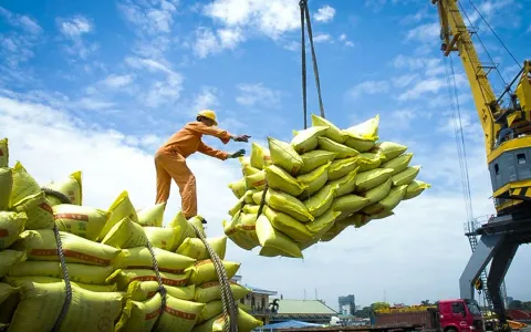 Bộ Công Thương: Doanh nghiệp xuất khẩu gạo cần bình tĩnh trước biến động thị trường
