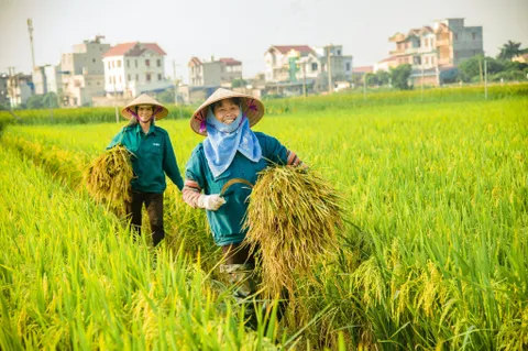 Bản tin Thị trường 24h ngày 27/04/2026 (bản nháp)