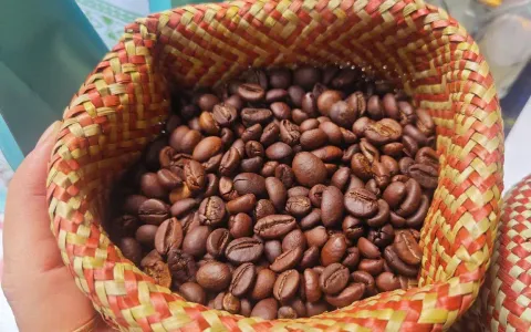 Cà phê Việt Nam hướng đến giá trị bền vững nhờ chế biến sâu