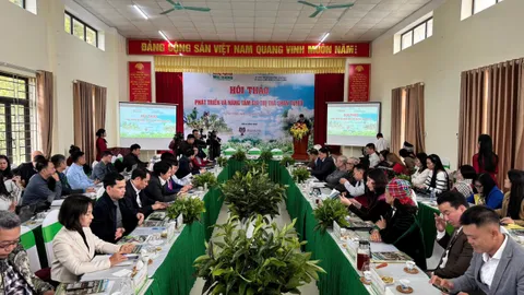 Lào Cai nâng tầm giá trị trà shan tuyết gắn với đảm bảo sinh kế của người dân