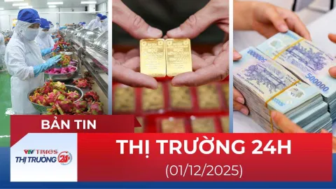 Bản tin Thị trường 24h ngày 1/12