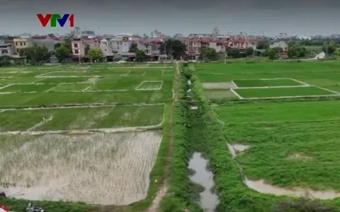 Siết phân lô bán nền từ đất nông nghiệp