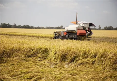 Mỹ tăng cường xúc tiến thương mại nông nghiệp với Việt Nam và một số nước