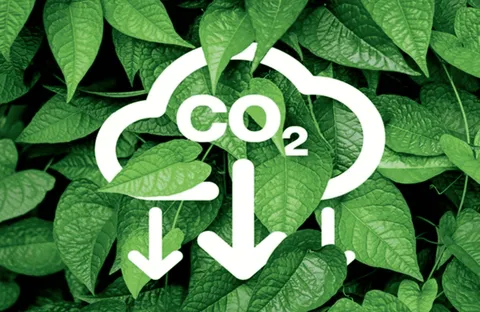 Quy định về sàn giao dịch carbon trong nước