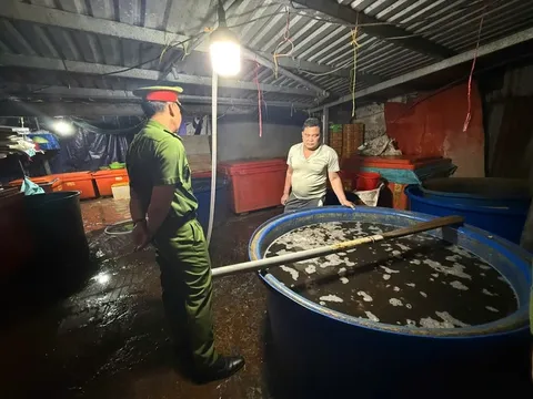 Công an TP Hồ Chí Minh triệt phá đường dây ngâm thịt ốc bằng hóa chất công nghiệp quy mô đặc biệt lớn