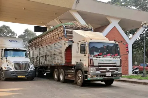Tạm dừng áp dụng Nghị định số 46 về an toàn thực phẩm đến hết ngày 15/4/2026