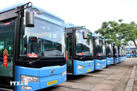 TP. Hồ Chí Minh miễn vé xe buýt ngày thứ Sáu hàng tuần khi thanh toán qua ví điện tử