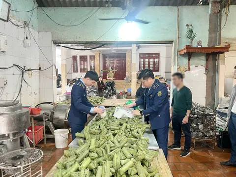 Khởi tố chủ cơ sở sản xuất giò chả dùng hàn the, thu giữ hơn 1,2 tấn thực phẩm vi phạm