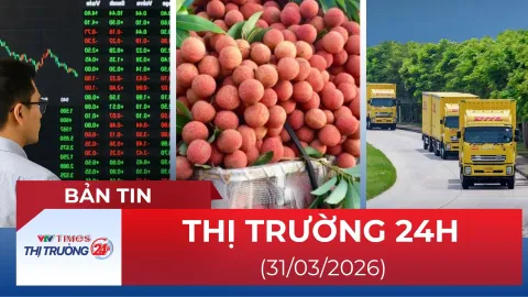Bản tin Thị trường 24h ngày 31/3/2026