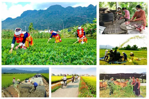Gỡ nút thắt thể chế, khơi thông nguồn lực an sinh 35.000 tỷ đồng