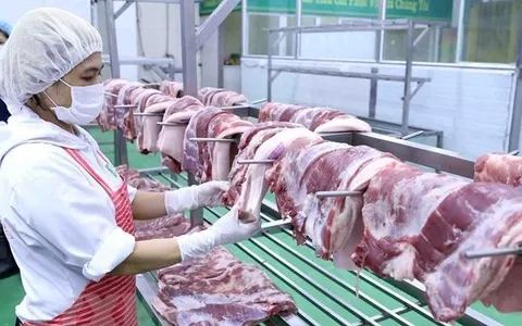Vận hành sàn giao dịch thịt lợn từ cuối tháng 4