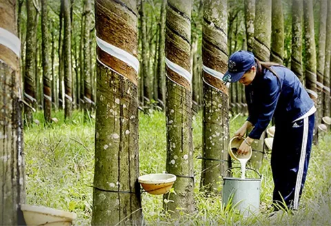Bản tin Thị trường 24h ngày 30/06/2026