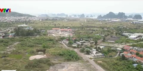Kiên quyết xử lý dự án chậm triển khai nhằm tránh lãnh phí, tăng nguồn cung nhà ở