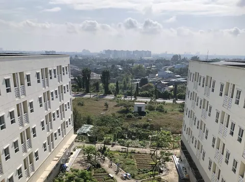 13 đơn vị tại TP. Hồ Chí Minh đăng ký xây nhà cho thuê