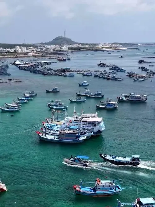 The Point 1: Lifting the IUU Yellow Card: Vietnam’s Determined Effort - 12.11.2025