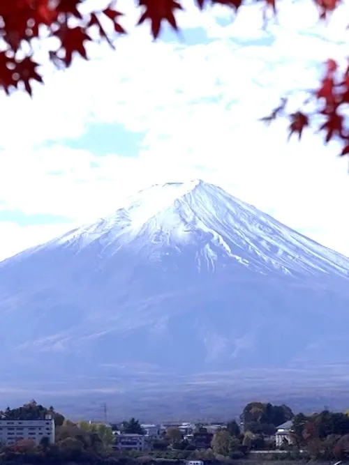 Mount Fuji shines in autumn splendour