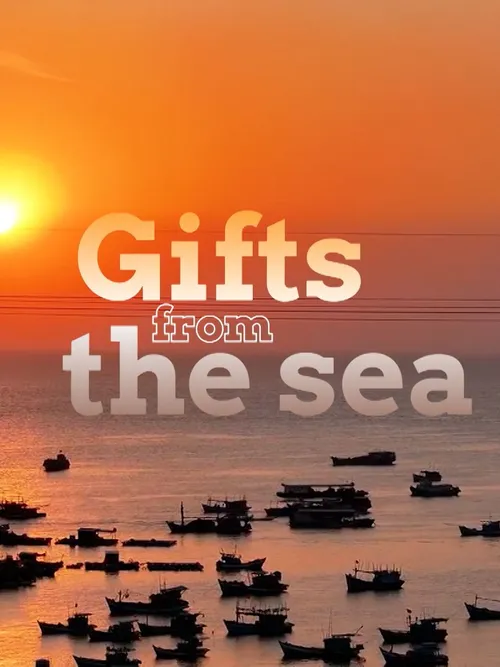 Gifts from the sea | Local Towards Global