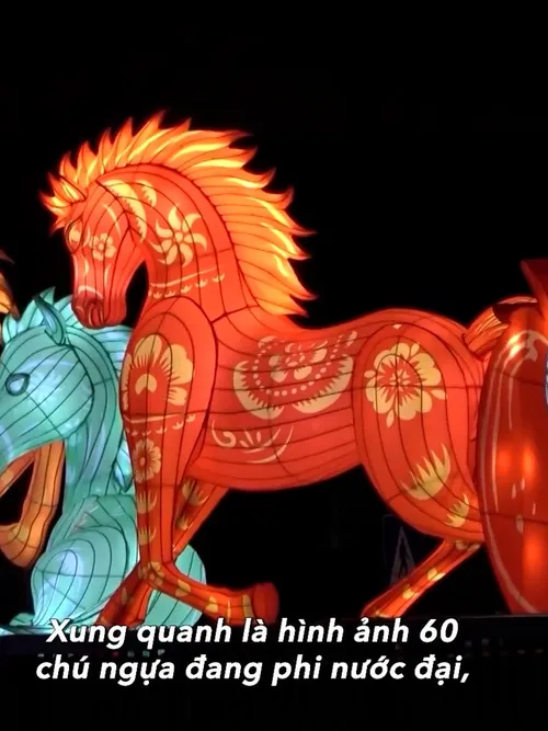 Beyond the Gallop | Insights