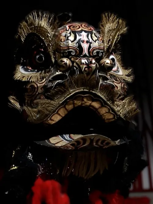 Stories of the Lion and the Dragon | Vibes of Vietnam