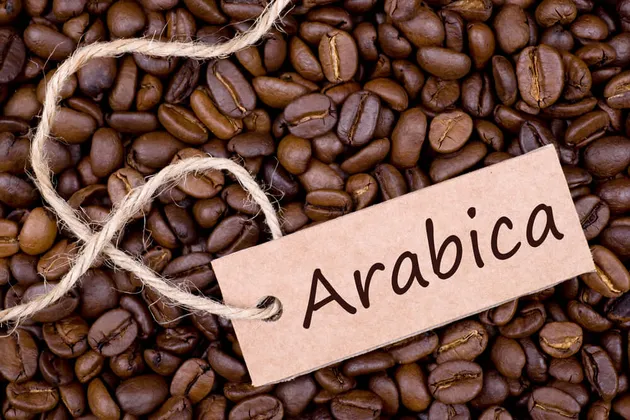 Giá cà phê hôm nay 6/2: Robusta tăng mạnh, Arabica thiết lập mốc cao nhất lịch ử