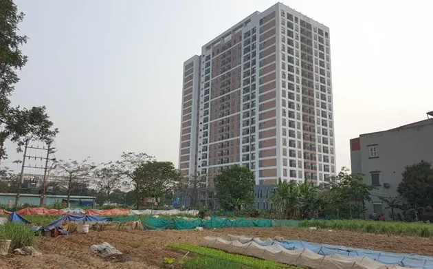 Hà Nội mạnh tay dẹp "cò" nhà ở xã hội