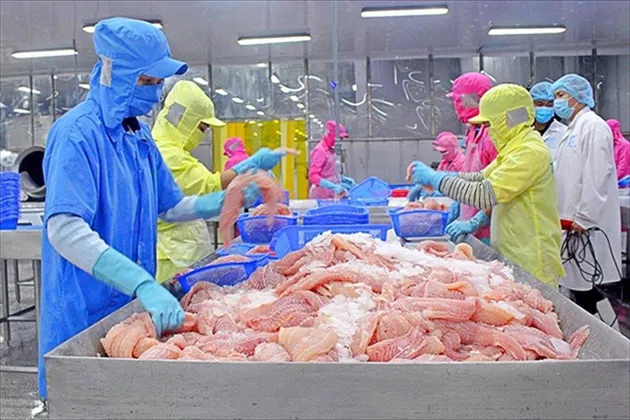 Cá tra Việt Nam 2025: Tăng tốc xuất khẩu trong vùng xoáy cạnh tranh mới