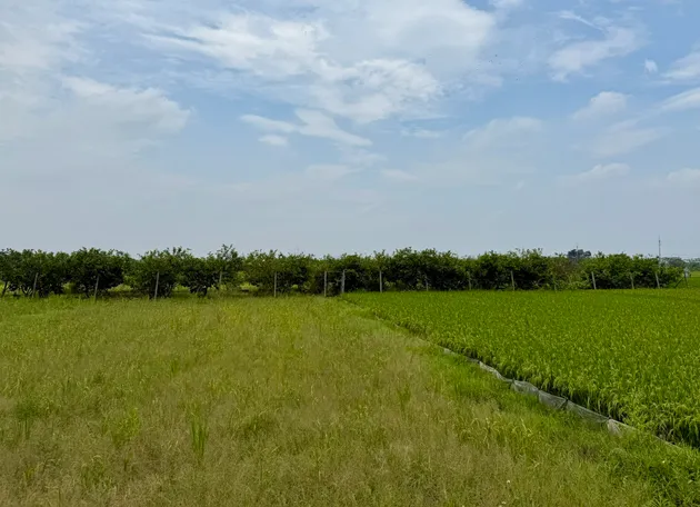 Hà Nội chấp thuận 148 khu đất thực hiện dự án thí điểm bất động sản