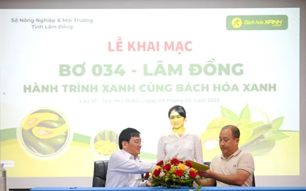 Lãnh đạo tỉnh Lâm Đồng cam kết chất lượng bơ O34 với Bách Hoá Xanh