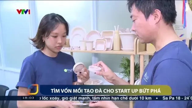 Tìm vốn mồi tạo đà cho startup bứt phá