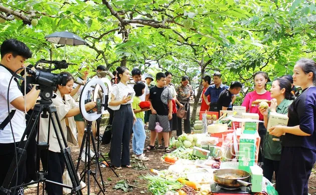 Kinh tế số nông thôn 2025: Khi người nông dân livestream bán đặc sản và gọi vốn trên sàn số