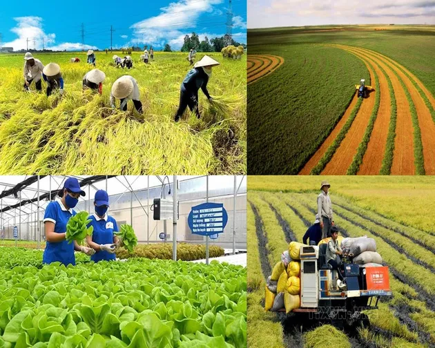 Tài chính số nông thôn – Bước tiến không thể đảo ngược cho một Việt Nam số toàn diện